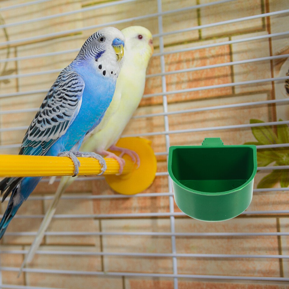 20 Pcs Bird Food Box Hanging Feeder Hummingbird Feeders for Cage eBay