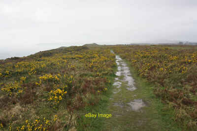 Photo 6x4 Clifftop path near East Cliff Fox Hole Heading towards High Tor c2016