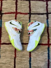 Nike Zoom LeBron Soldier 7 King's Pride for Sale | Authenticity