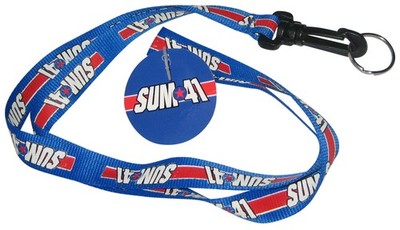 Sum 41 (2002) CD Visionary Licensed Music Blue Lanyard