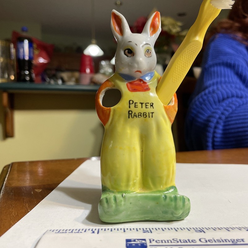 Peter Rabbit Tooth Brush Holder