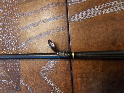 Daiwa Morethan Branzino EX AGS 94MMH( MOB4122383) | eBay