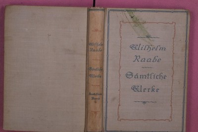 303039 Wilhelm Raabe SÄMTLICHE WERKE Verlagsanstalt für Literatur und Kunst