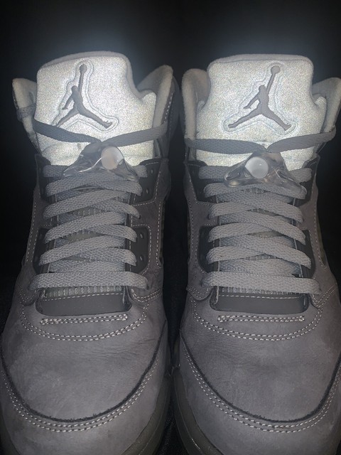 wolf grey 5 for sale
