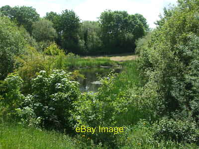 Foto 12x8 Teich bei Great Stoke Ein modernes Merkmal von ein paar Jahren. c2019
