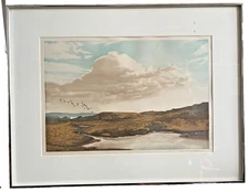 Aquatint Etching by John McNulty  "Snipe"   Signed & Numbered # 69/175