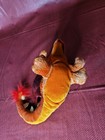 Bild 5 von 7