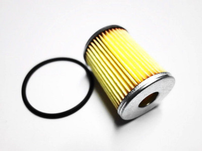 LPG Autogas Gasfilter Tartarini + Dichtring