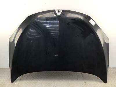 Motorhaube Renault Megane III Grandtour (Z) schwarz, TEGNE - BLACK 667519