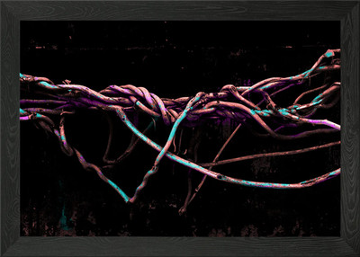 Psychedelische Wurzeln Gerahmtes Wandbild Poster Leinwanddruck Bild