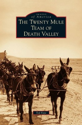 Ted Faye | Twenty Mule Team of Death Valley | Buch | Englisch (2012) | Gebunden