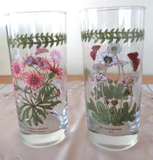 PORTMEIRION GLASSWARE TUMBLERS Set Of 2 BOTANIC GARDEN