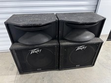 Peavey SP2A Monitor Speaker With Woofer / Horn - Black Widow Speaker Floor Stage