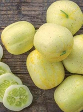 LEMON Cucumber Seeds | Heirloom Vegetable Garden | NON-GMO| 2025 Season