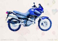 A4 Photo Suzuki XF650 Freewind 2001 Watercolour Print Ltd Edition