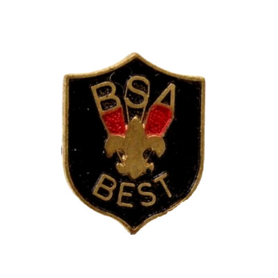 BSA Best Hat Lapel Pin Boy Scouts BSA | eBay