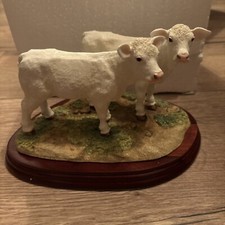Border Fine Art's Charolais Calf’s  A5275 Ornament