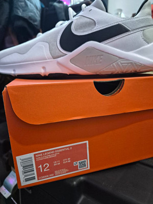 Nike Legend Essential 2 Pure Platinum/White/Black CQ9356-002 Mesh Sneaker