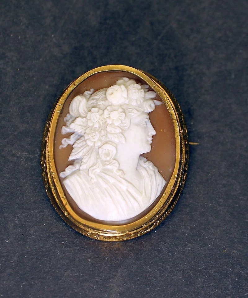 Original Antike Biedermeier Schmuck Brosche Muschel Camee Kamee Cameo Gemme - Bild 2 von 4