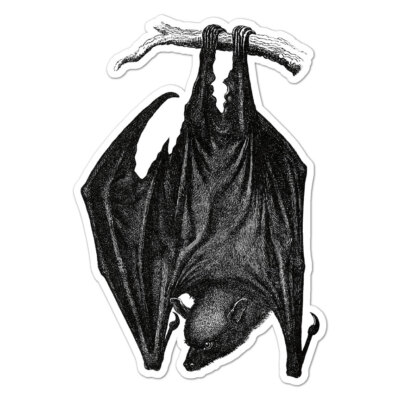 Hanging Bat, Vinyl Decal Sticker, Indoor Outdoor, 3 Sizes, #9643 | eBay