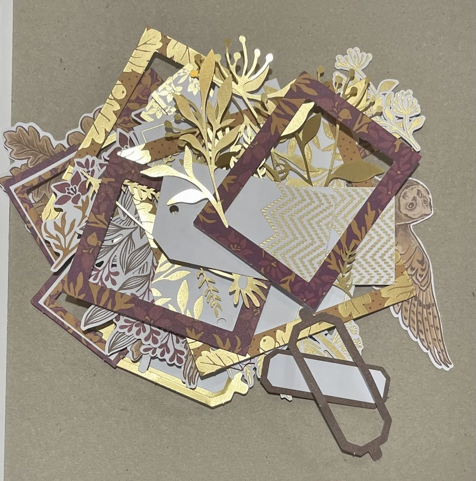 Stampin Up! KIT DE TARJETAS BLACKBERRY BEAUTY DSP CARTULINA 6X6” lámina dorada 5 piezas adicionales Foto 3 de 3