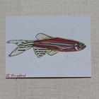 Original Zebra Danio Painting Fish Laura Langford Signed Paper Art 2025 — photo 1