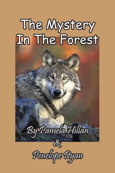 The Mystery In The Forest Pamela Hillan (U. A.) Taschenbuch Englisch 2021-image