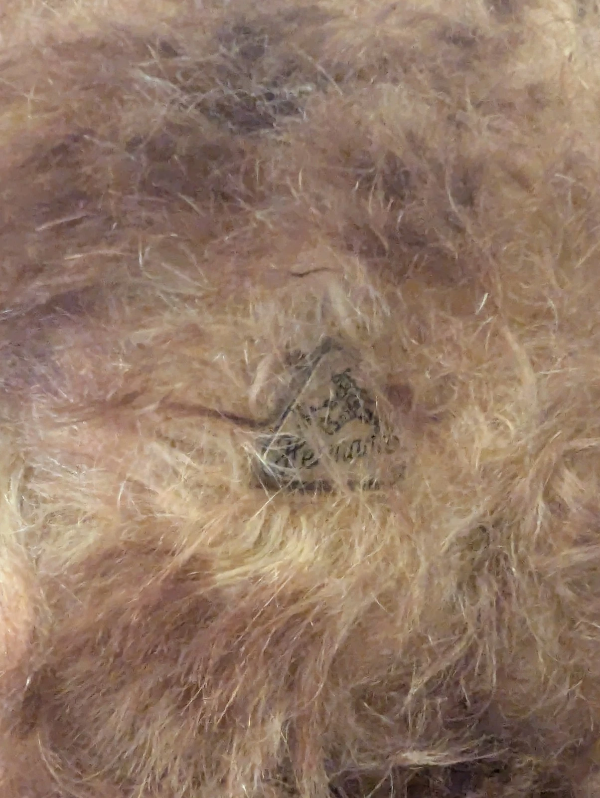 Picture 4 of 10