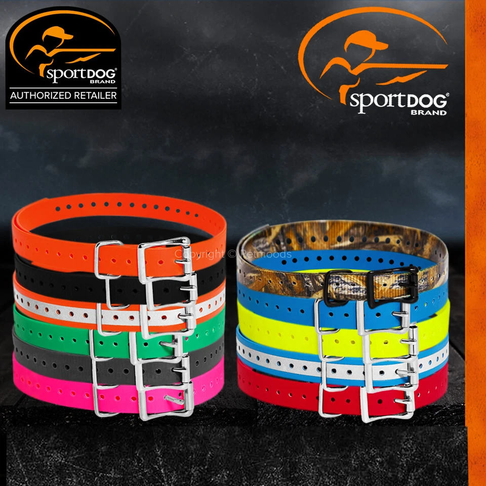 SportDOG Collar de Perro Correa Hebilla Rodillo Perros Pequeños a Grandes 3/4" de Ancho x 28" de Largo Foto 3 de 3