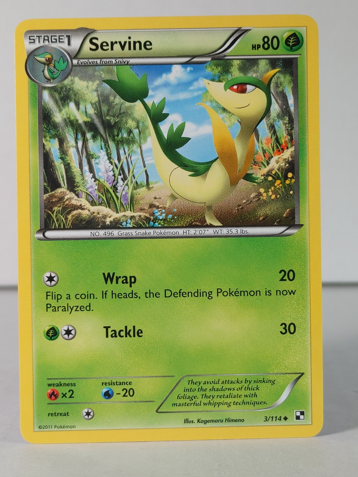 Servine - Black & White base set #3 - Pokemon - NM -C