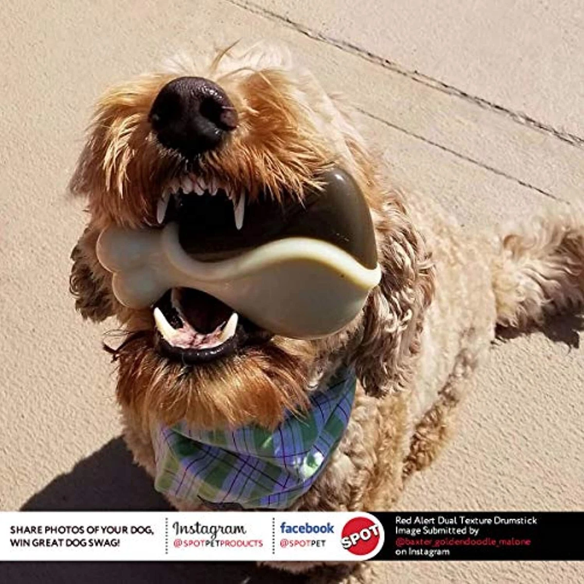 Spot red alert store dog toy