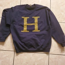The Wizarding Trunk  Harry Potter  Sweater Letter H Men's Jacket   BLUE  Small