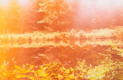Mark Borthwick ''RAPE ME, DEAR NATURE ESCAPE ME'' 2012 Print Edition 11/100