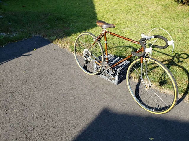 ebay womens road bike