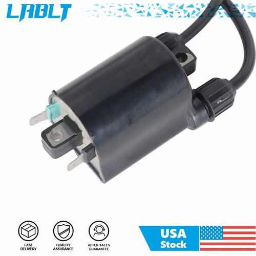 LABLT 2× Ignition Coil W/ Spark Plug Cap For Honda VT600C Cd Shadow VLX 88-07 - Foto 7 di 8