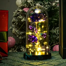 Rose Flower In Glass Gifts For Women Wife Her Valentine Girlfriend Birthday Gift