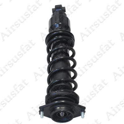 2x Rear Left&Right Shock Absorber Assembly For Subaru Forester SH5