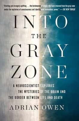 Adrian Owen Into the Gray Zone (Taschenbuch)