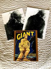 Rare 3X Bigfoot SASQUATCH Yeti 1930s/1940s Era 8X10 Photo Lot Cryptozoology