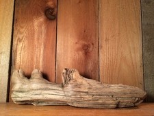 Beautiful 14" DRIFTWOOD Piece Terrarium Taxidermy Aquarium Beach Wood DECOR