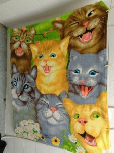 cat fleece throw