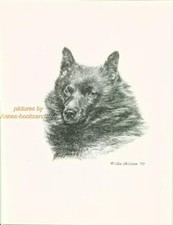 #161 SCHIPPERKE portrait dog art print * Pen and ink drawing by Jan Jellins