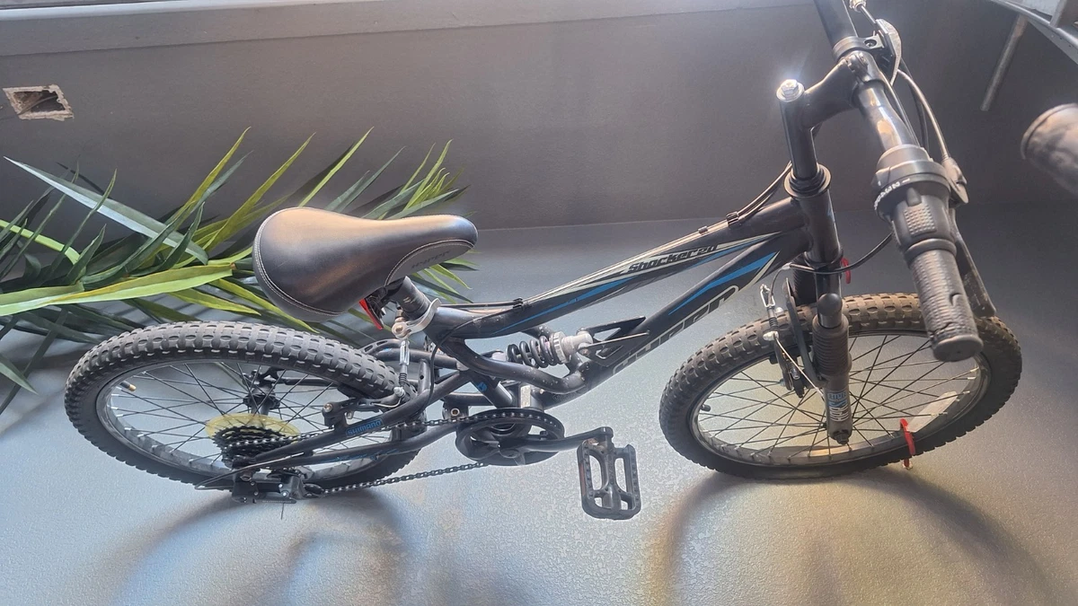 Schwinn Full Suspension (Front & Rear) Bikes for sale - eBay