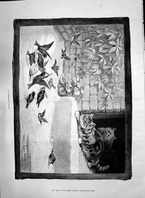 Alter Druck 1890 Unwahrgenommene Gefahr Vögel fressen Brot angreifen Katzen Wain 19.