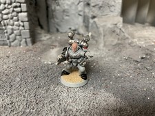 Warhammer 40K: Adeptus Astartes Space Marine WH378