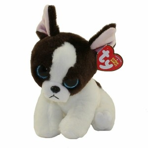 boston terrier teddy