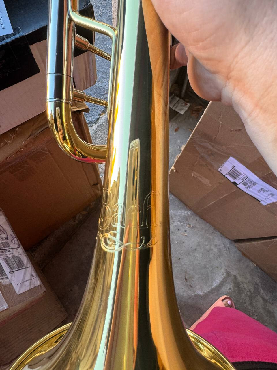 Bach Student Premium Trumpet, Model BTR301, Color Lacquer eBay