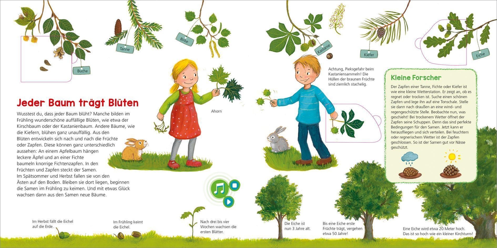 Thumbnail - Bookii Was Ist Was Kindergarten Entdecke Den Wald | Andrea