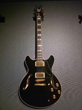 Guitarra eléctrica Ibanez John Scofield JSM20th Limited