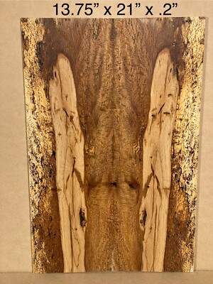 Florida Live Oak  - Spalted - Guitar Back  Top Wood Luthier Lumber Materials Top
